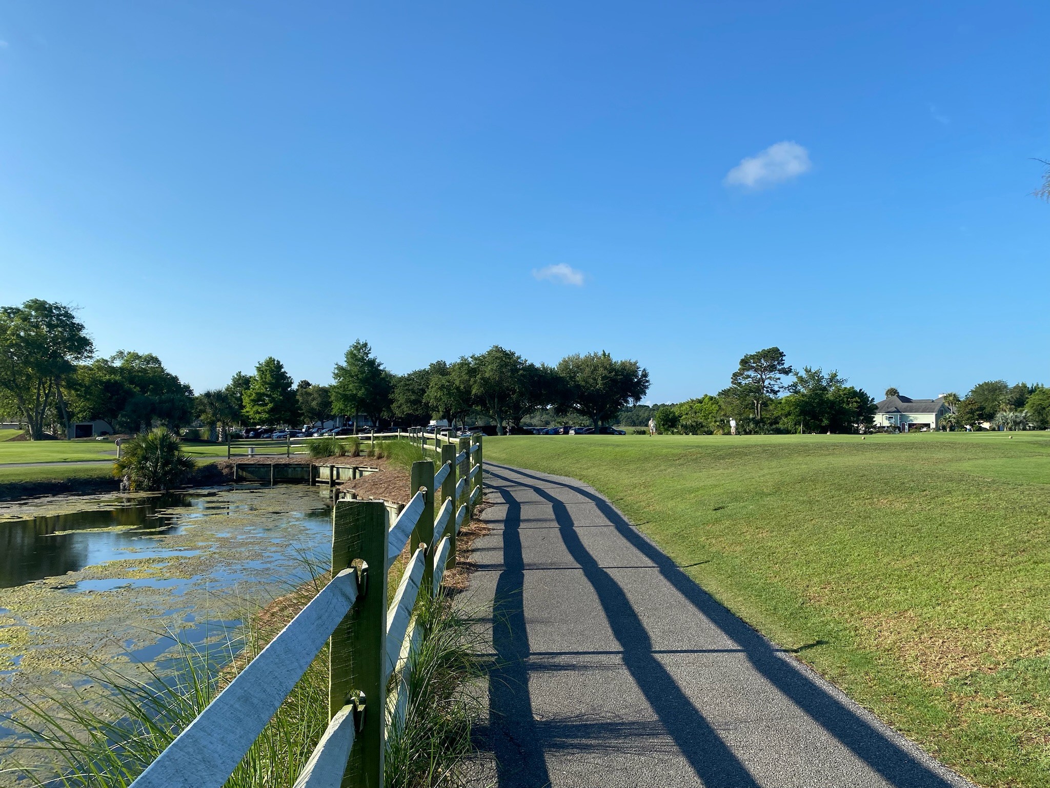 25par3oak8.jpg
